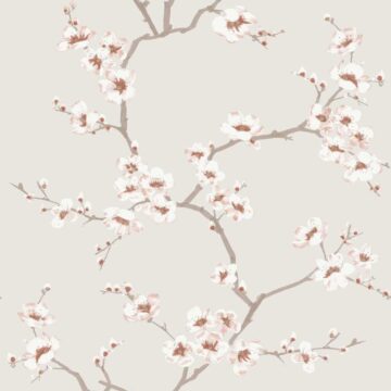 108291 Cseresznyevirágos tapéta